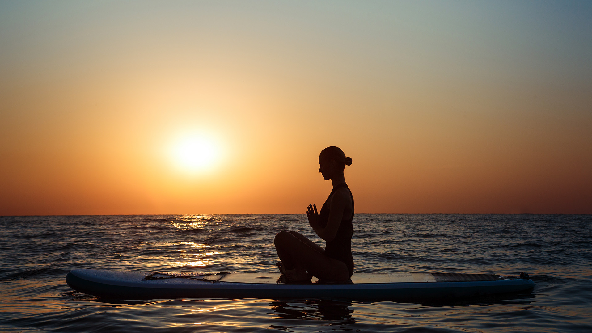 paddle_zen_large