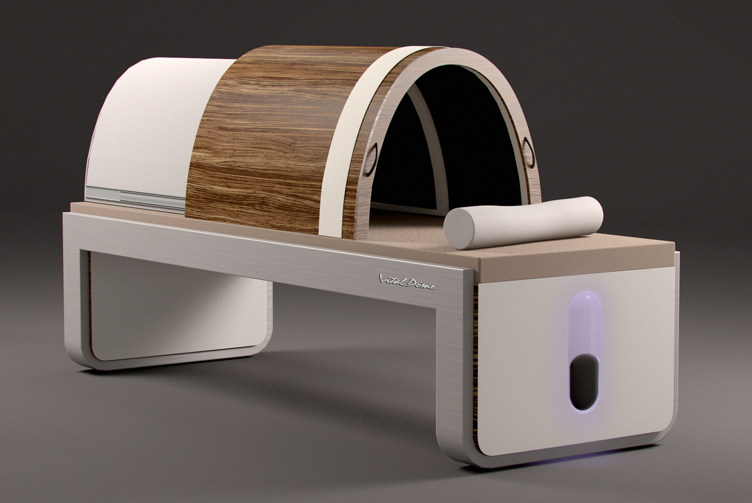vital_dome_modele_9